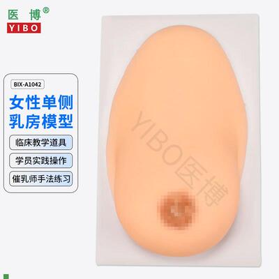 医博BIX1042成人女性单侧硅胶乳房D模型仿真触感催乳手法训练教学