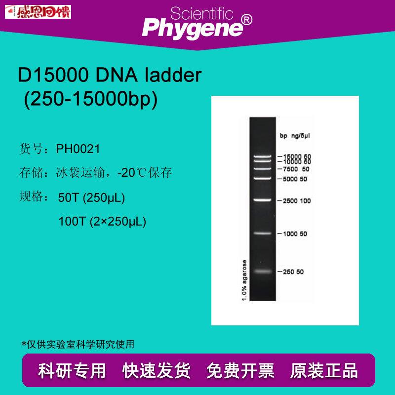 DNA ladder (250-1500N0bp) 100T DNA Marker [PH0021 PHYGENE