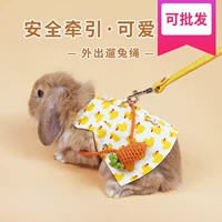 Кролик, шапка, аксессуар для выхода на улицу, домашний питомец