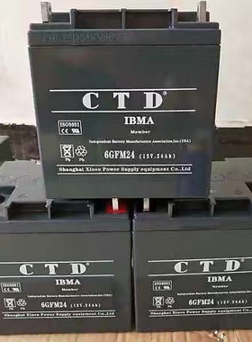 CTD蓄电池6GFM24/7AH/10AH12/38/65/100原装进口机房免维护机房