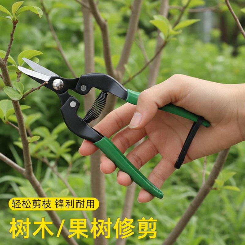 佐致(收吉用摘果剪果树鲜大花园林修枝剪细铁丝家铁皮剪子摘葡萄