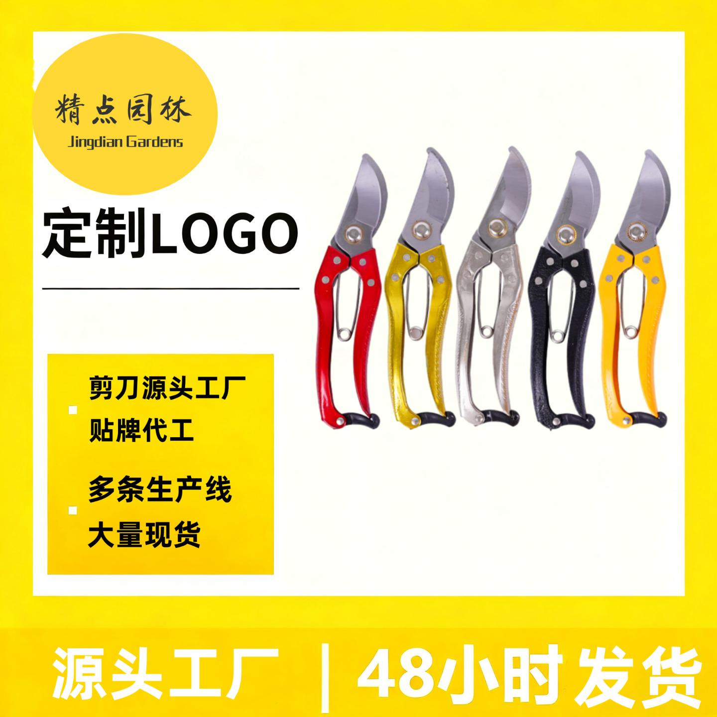 B2修剪树枝剪刀园艺修枝剪果树