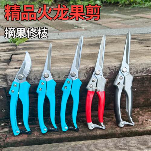 剪枝果树修枝剪刀园艺园林修花枝