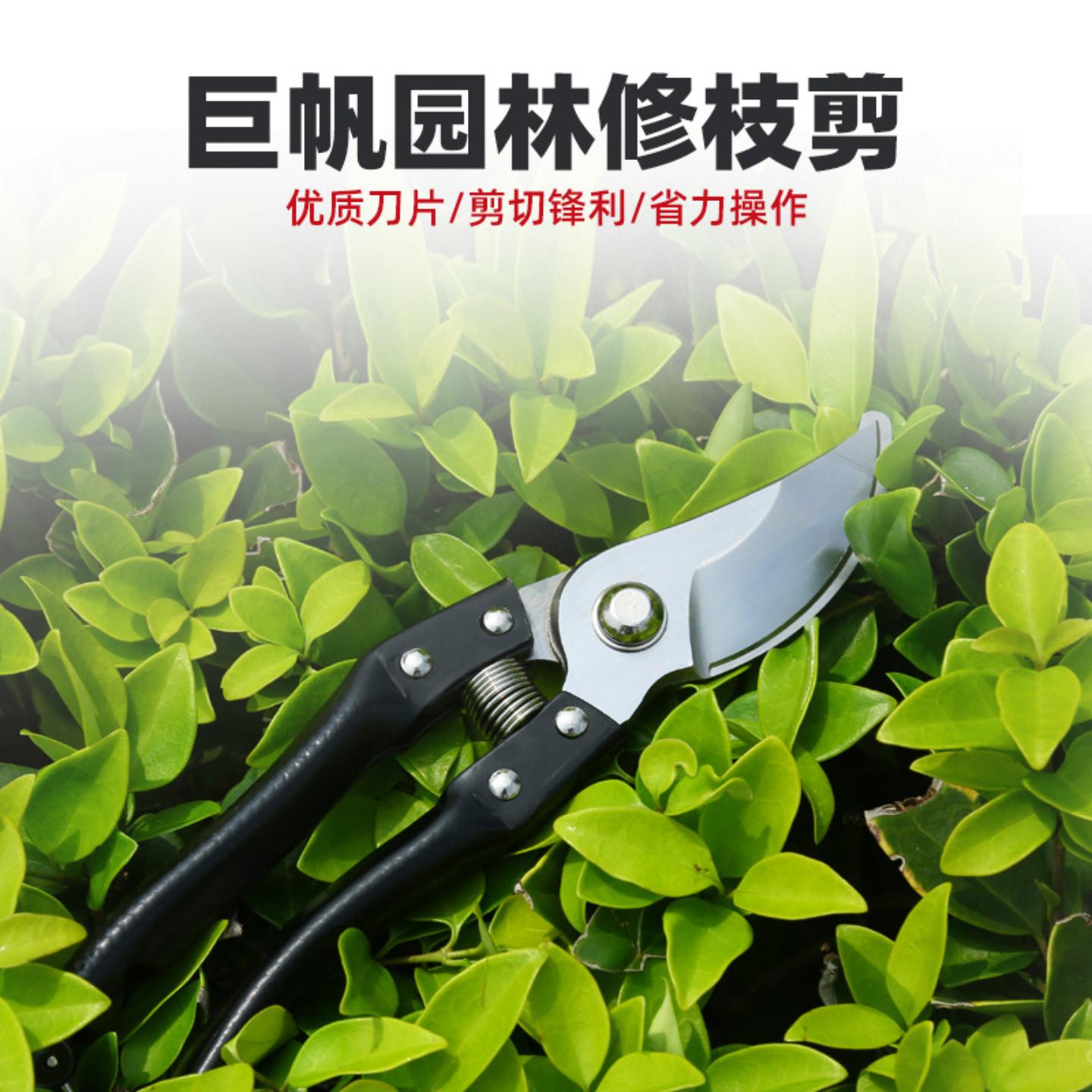省力修枝剪刀园林修枝剪园艺果树