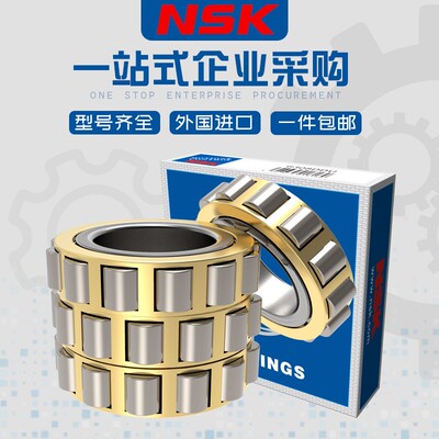 日本进口NSK减速机偏心轴承RN 204 205 206 307 308 309圆柱312 M