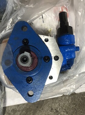 BB-B16/B25YJZ-1摆线齿轮油泵电机BB-B20Y/B32YJZ-1上海东高1.1KW