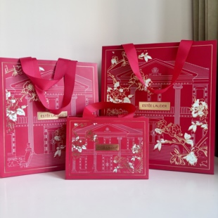 雅诗兰黛新款专柜手提袋礼品袋精华水袋护肤品三件套礼袋空礼盒袋