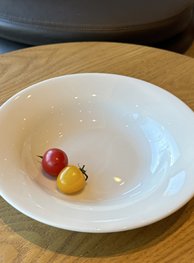 tuxton盘子家用2025新款高颜值陶瓷盘子釉下彩彩餐盘汤盘圆盘