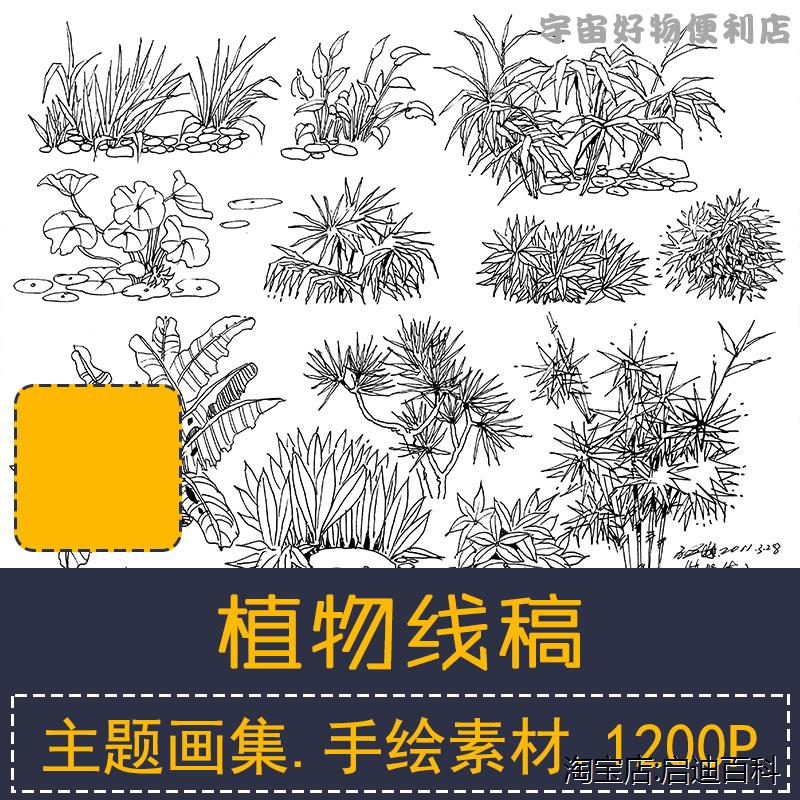 植物花卉线稿速写图片素材包库手绘铅笔钢笔白描漫画手稿美术参考