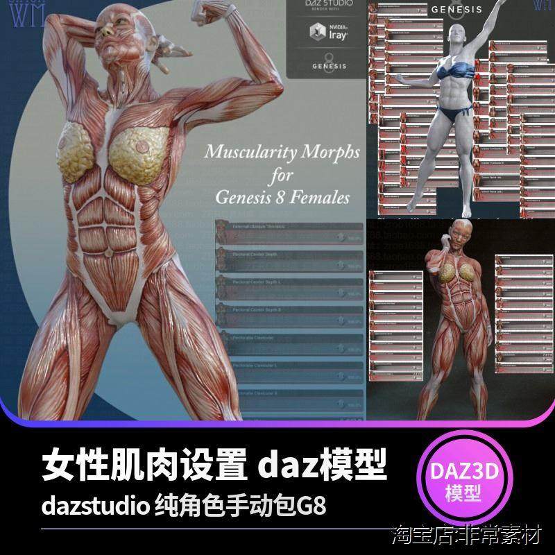 女性肌肉设置 daz模型纯角色手动包g8素材dazstudio