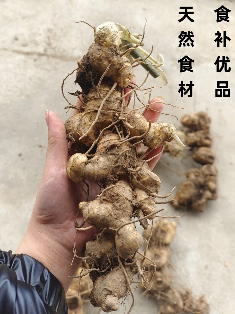 【顺丰包邮】广西桂林五年以上鲜黄精泡茶煲汤泡酒滋补养生泡酒料