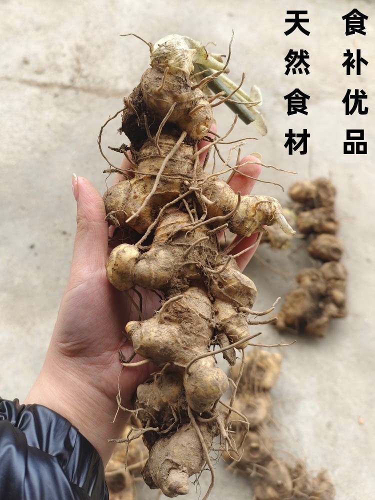 【顺丰包邮】广西桂林猫儿山五年以上鲜黄精泡茶煲汤泡酒滋补食材