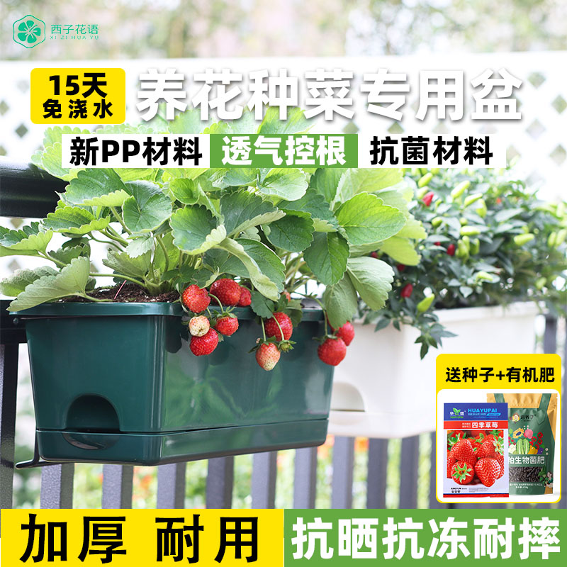 阳台花盆挂架护栏长方形种菜盆专用箱懒人自吸水树脂花盆加厚耐用