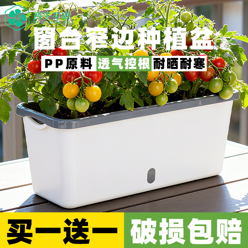 阳台种菜盆窄边花盆窗台种植盆图片