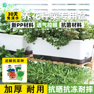 阳台长方形种菜盆神器种菜专用箱家庭阳台蔬菜塑料花盆厂家直销