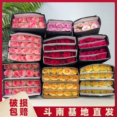鲜花云南基地直发家用插花
