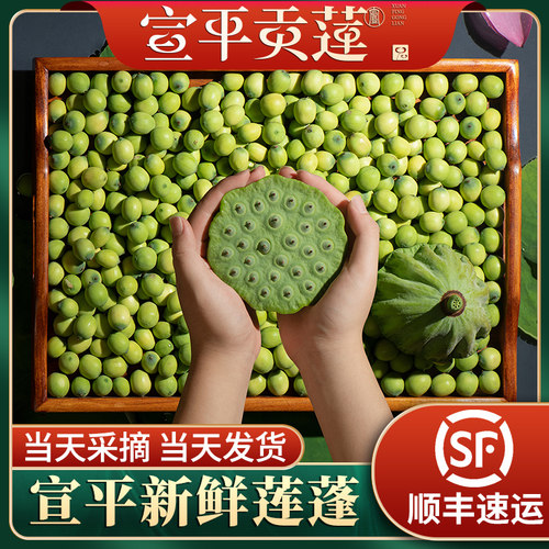 宣平莲蓬新鲜生吃现时令水果即食