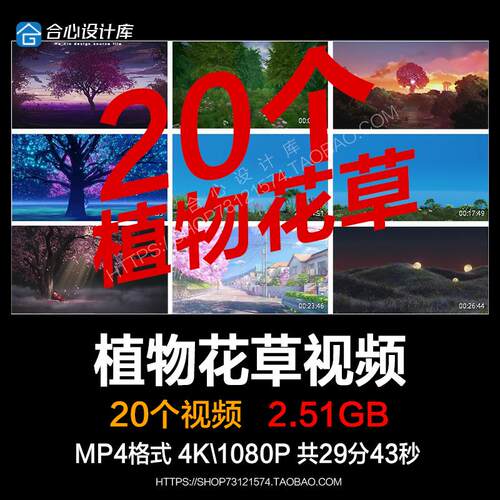 高清森林植物花草四季变化展会舞台LED大屏幕背景VJ视频素材酒吧