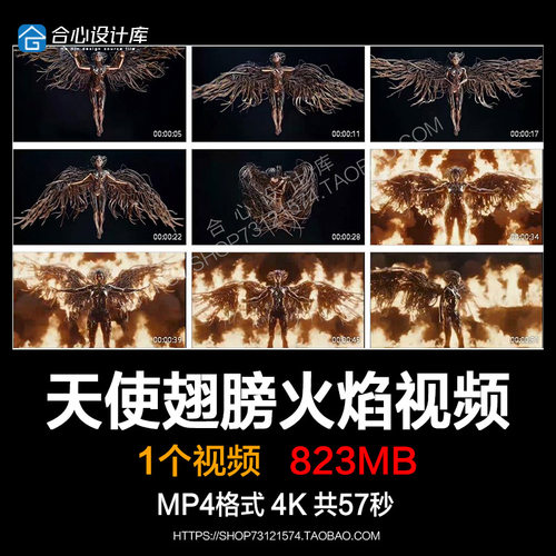 anyma天使翅膀火焰 音乐节舞美视觉 酒吧灯V互动 te chno视频素材