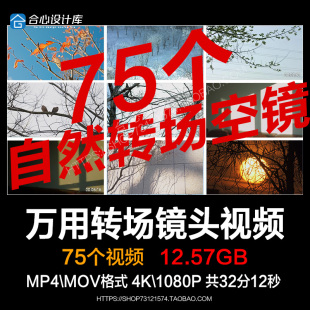 枯树枝时光流逝光影流动光阴抽象缩时过场环境空镜高清视频素材