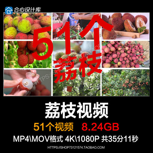 荔枝树果园岭南荔枝成熟枝头挂满果实水果荔枝高清特写短视频素材