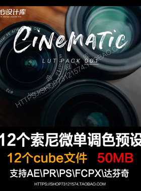 12组索尼Sony视频调色LUT Cine4预设 AE/Pr/FCPX/达芬奇/PS