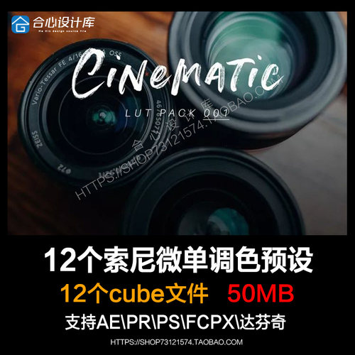 12组索尼Sony视频调色LUT Cine4预设 AE/Pr/FCPX/达芬奇/PS