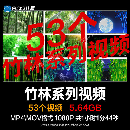 竹子绿竹雨竹林 苗族山歌傣族舞蹈民歌古筝背景LED大屏幕视频素材
