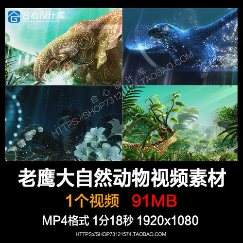 老鹰粒子声光电大自然森林动物世界DJ开场演艺舞台背景视频素材