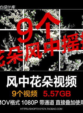 PR/AE/FCPX视频素材白色花朵树枝风中摇摆动自然风景mov透明通道