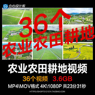 万亩农田农业良田绿色乡村农田乡村耕地丰收农田梯田实拍视频素材