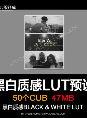 10组高级黑白质感艺术电影级视频调色预设B＆W LUT 支持Pr Fcpx