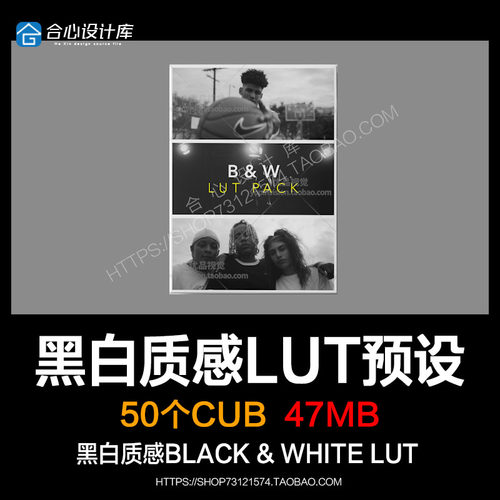 10组高级黑白质感艺术电影级视频调色预设B＆W LUT 支持Pr Fcpx