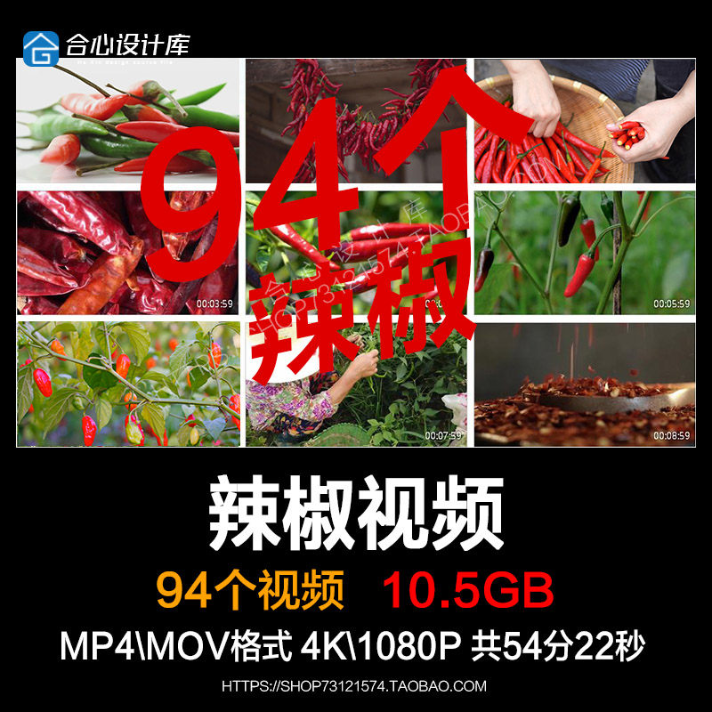 干红辣椒面农业种植采摘小米辣朝天椒青辣椒新鲜蔬菜椒短视频素材