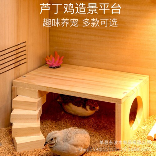 芦丁鸡喂食台配件装饰仓鼠用品全套二层平台架子宠物箱别墅造景