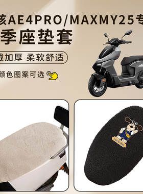 适用极核AE4pro/maxMY25电动车座套加厚坐套加绒座椅罩防水脚垫