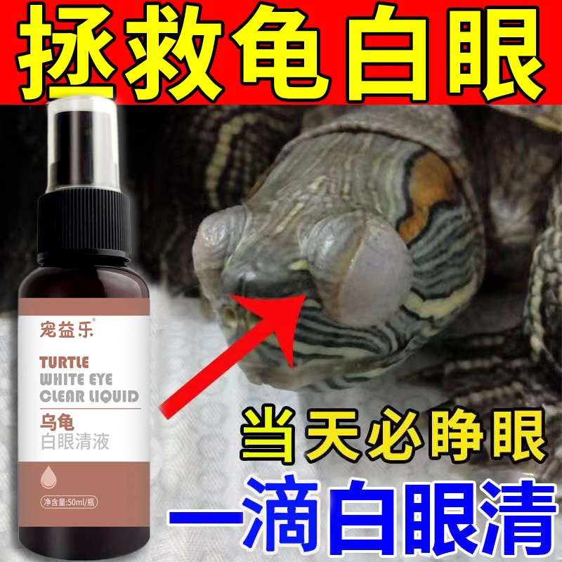 乌龟白眼病专用草龟巴西龟眼睛睁不开红肿细菌感染特有效眼药水