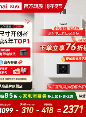 [小蛮腰恒温]林内燃气热水器家用天然气13升16升GC21同款