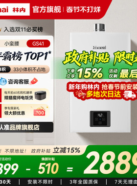 [小蛮腰恒温]林内燃气热水器家用天然气13升16升GC21同款