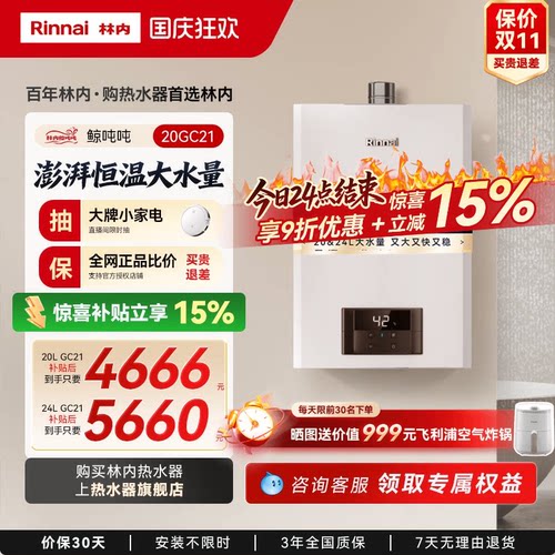 鲸吨吨恒温GC21林内小蛮腰大水量
