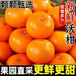 广西武鸣沃柑10斤新鲜水果当季整箱一级沙糖蜜橘砂糖柑橘桔子橘子