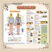 原始点示意图海报中医保健理疗馆养生馆墙贴纸宣传挂画kt板