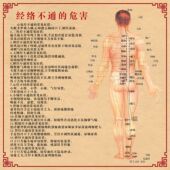 经络调理穴位图养生海报人体穴位图中医养生馆经络穴位图海报挂图