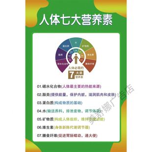人体七大营养素四大健康基石养生医学健康常识知识宣传背胶海报