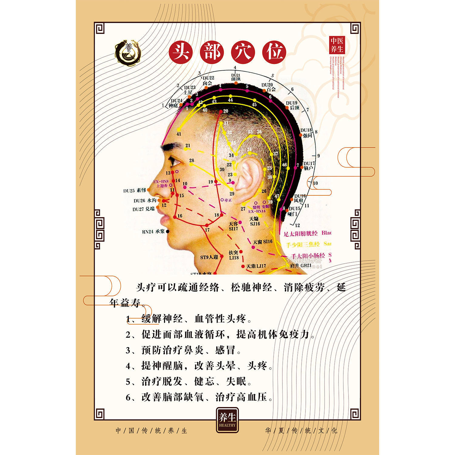 美容按摩穴位图面部穴位挂图经络图人体经络头部穴位图海报图片