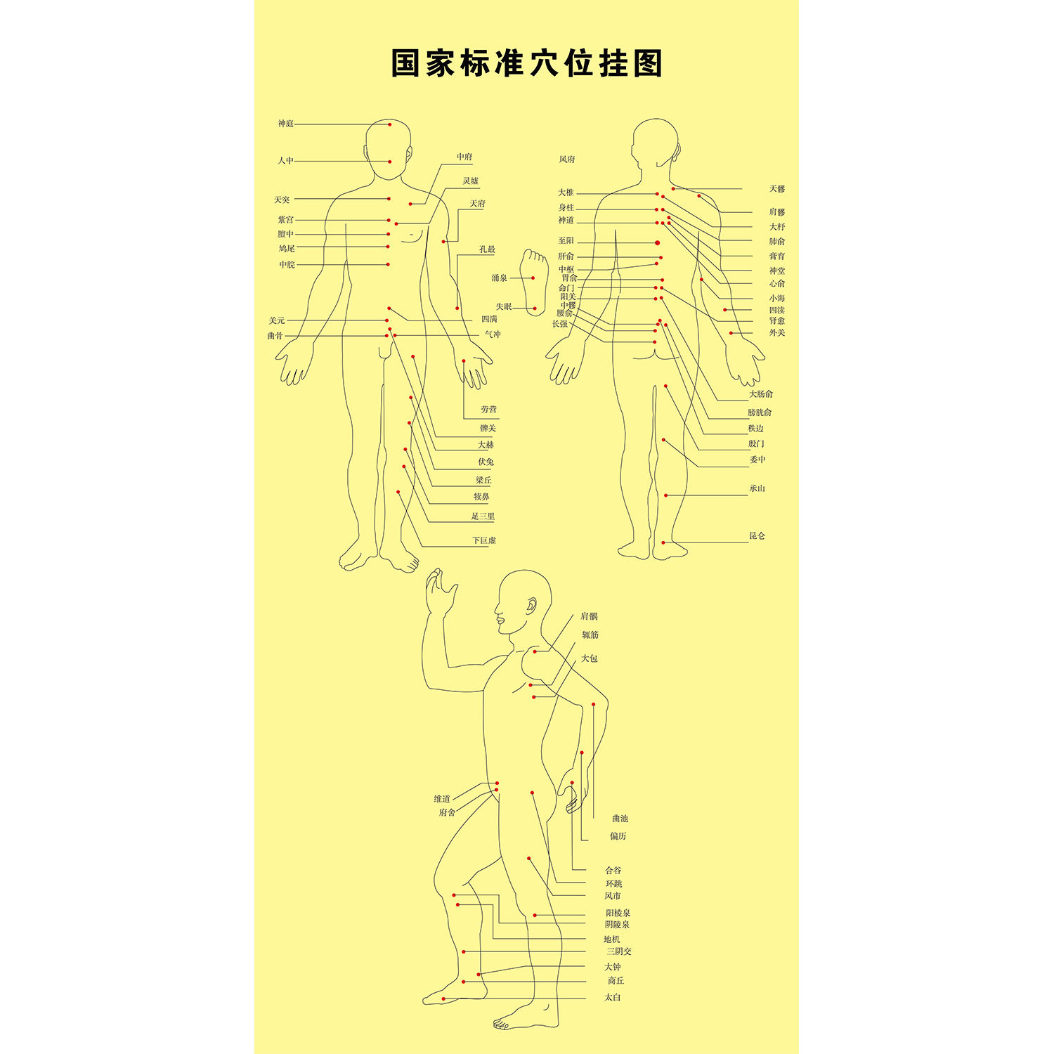 国家标准穴位图全身图海报针灸刮痧艾灸按摩装饰画高清自粘贴图