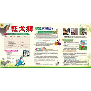 狂犬病海报狂犬病防治图宠物店诊所贴墙画狂犬病预防宣传画