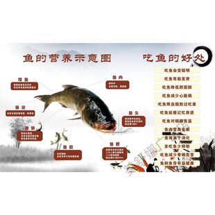 鱼的营养示意图吃鱼的好处贴画饭店餐馆烤鱼炖鱼店海报装饰画自粘