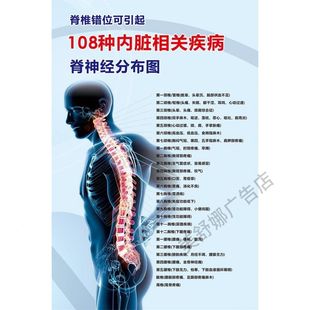 人体脊神经分布图海报贴纸按摩店养生馆墙贴纸装饰画kt板