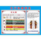 中医养生美容院海报图经络养生宣传画挂墙画图片养生会所